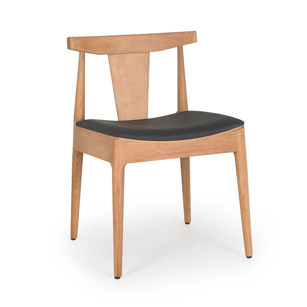 CHAIR ISSA