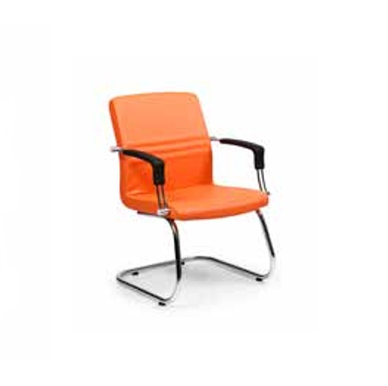 ARMCHAIR DOLPHIN DLN0354020