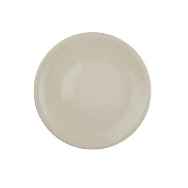 FLAT PLATE SKY CLOUD BNTS30DU890671