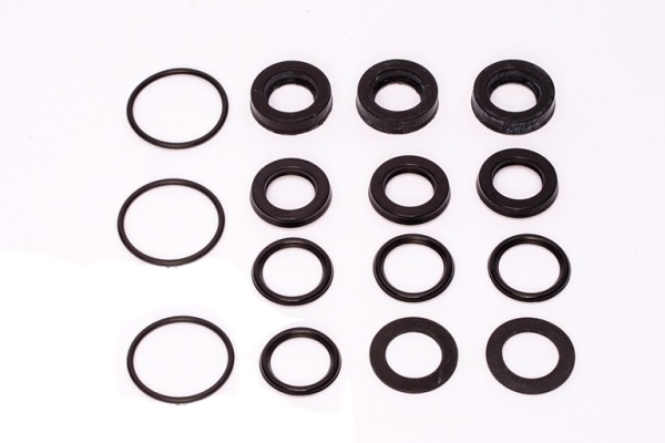 GASKET OF INJECTOR 301002561