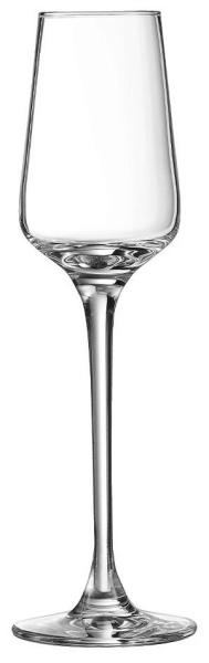 LIQUEUR GLASS 110CC N8212