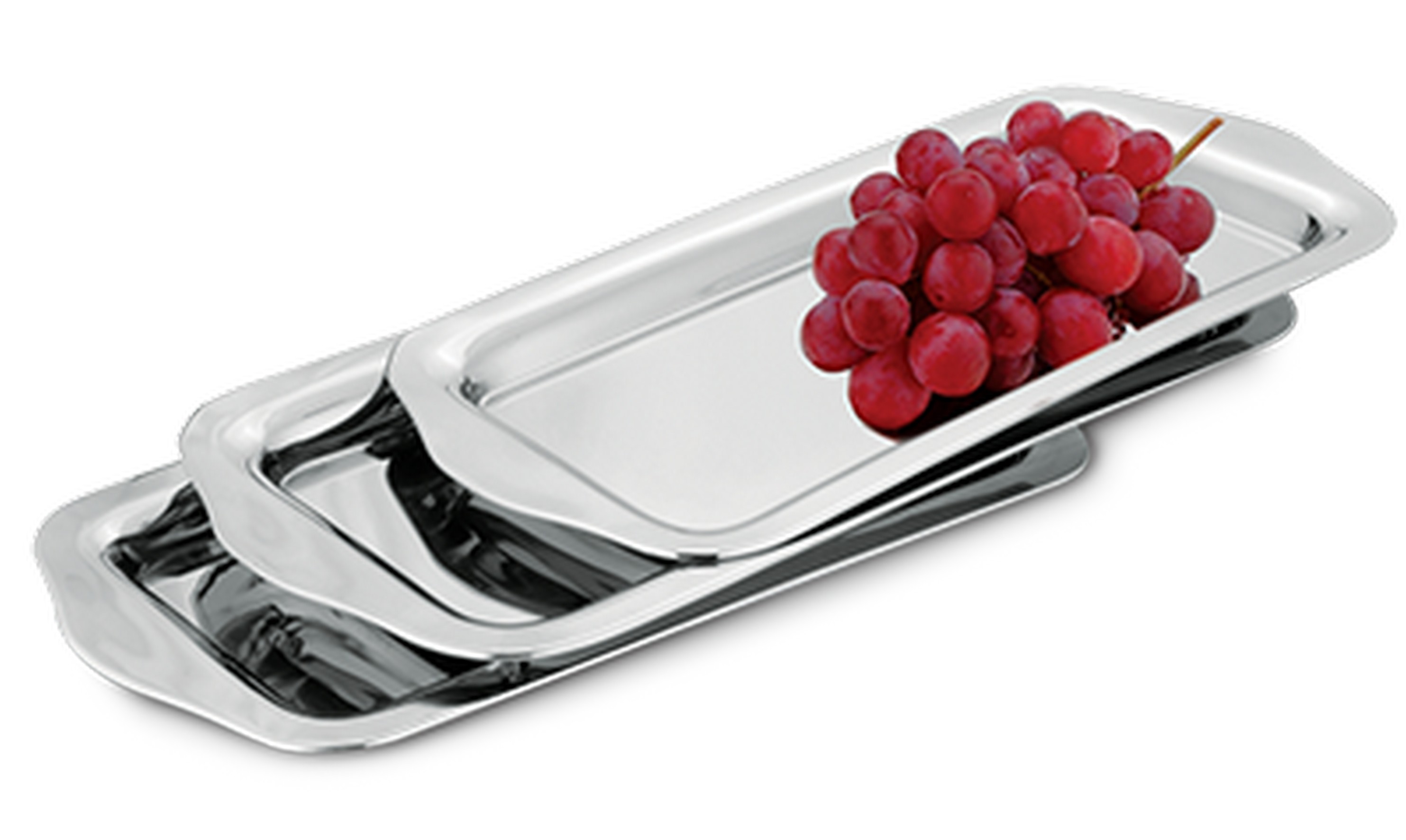 DISPLAY TRAY STEEL 39X19.5CM 58023920