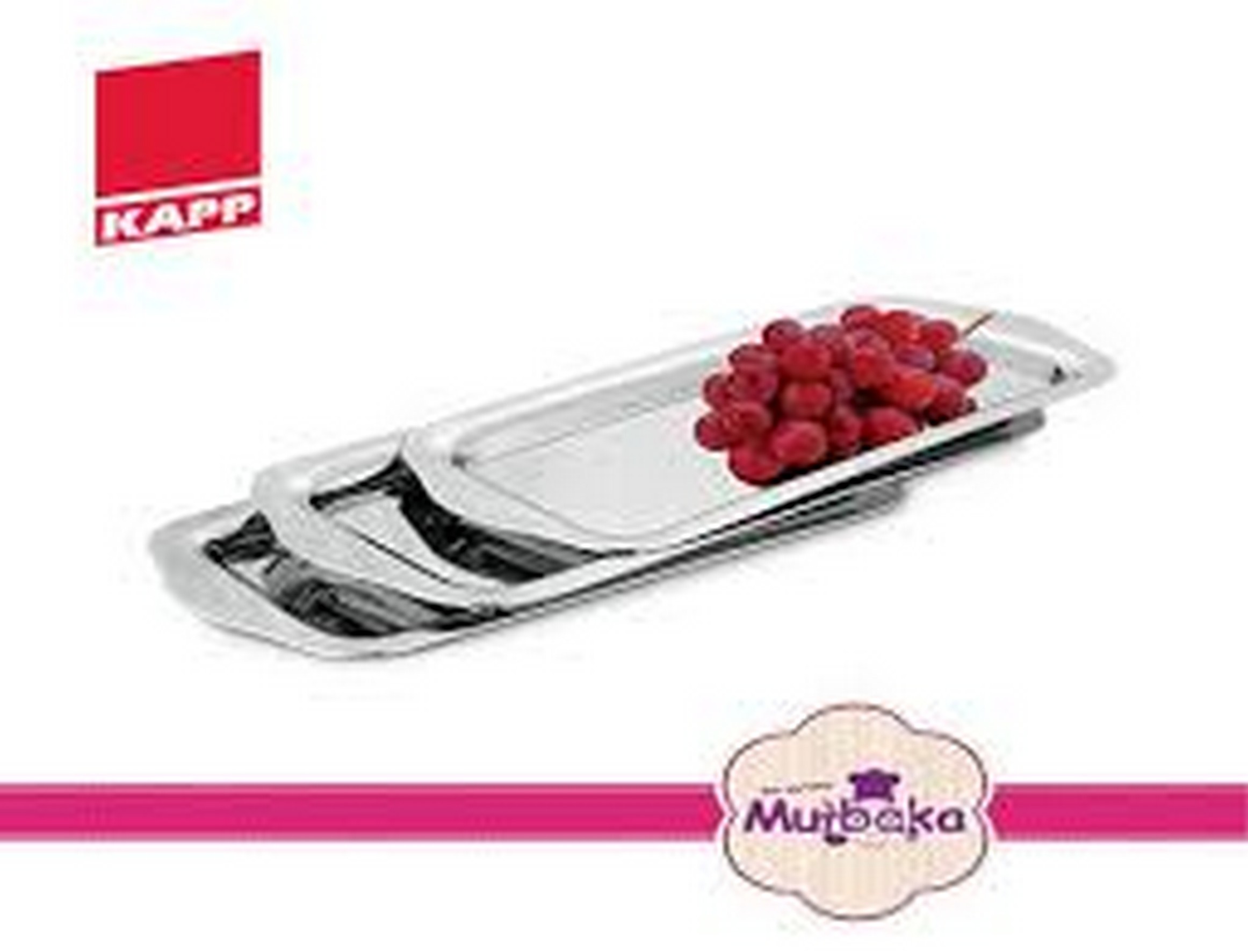 DISPLAY TRAY STEEL 45X21CM 58024521